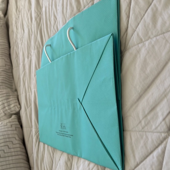 Tiffany & Company Shopping Gift Bag tote - Picture 12 of 16